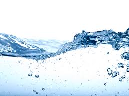 Drinking Water bottle seller Swasti in Pansila